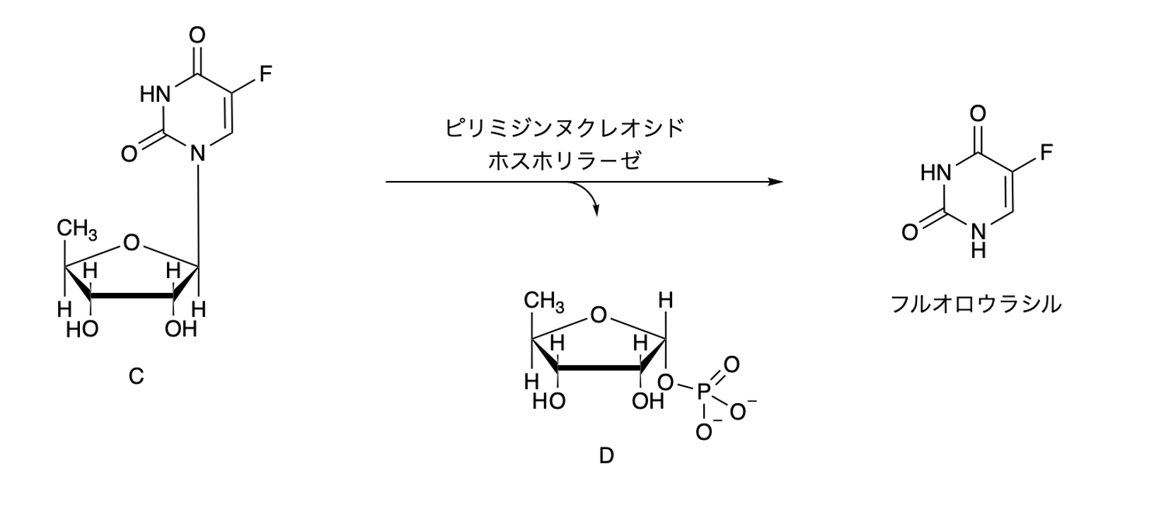 解説画像